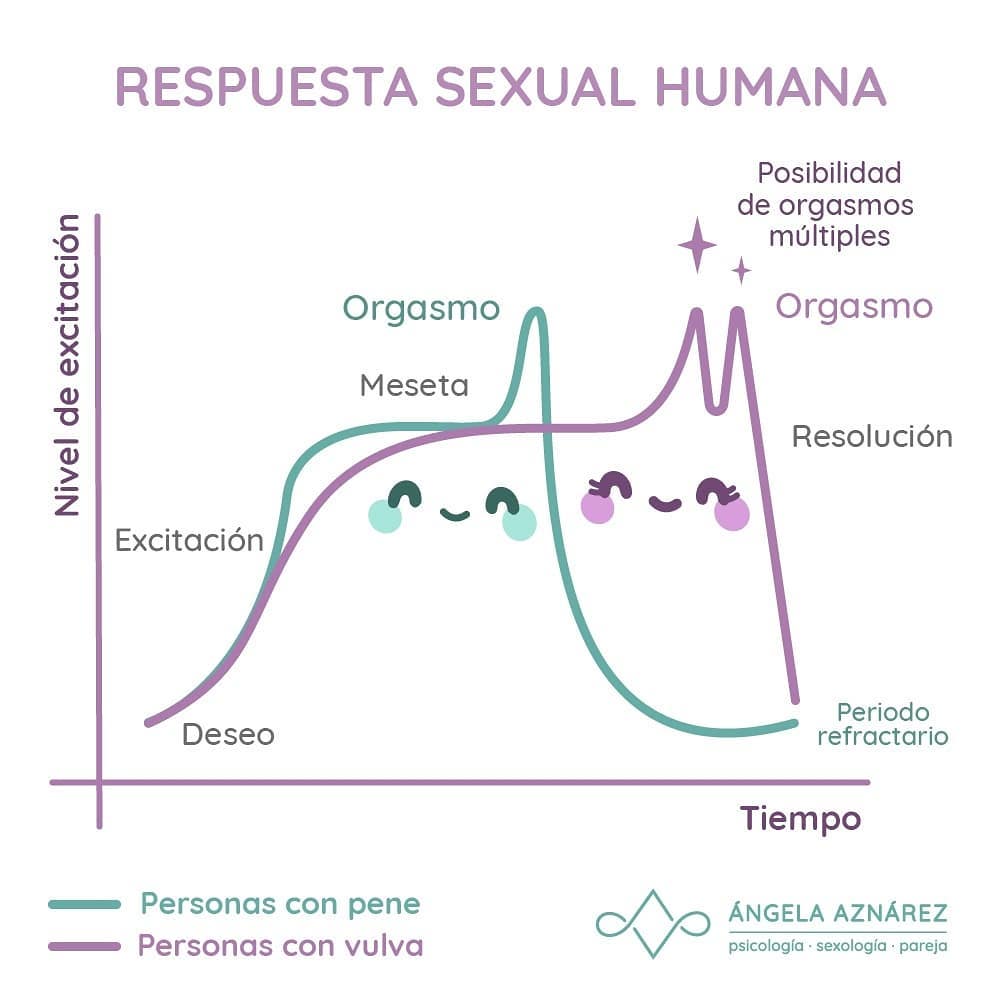 pronunciación Lago taupo fluir Respuesta sexual humana • Ángela Aznárez - Sexología y Psicología